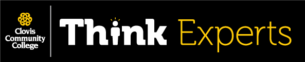 Think Experts Logo